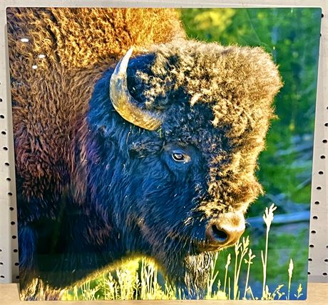 Yellowstone Bison Print Wall-Hanging