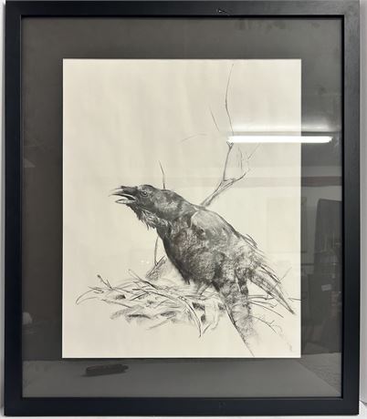 Beautiful drawing of a crow in its nest