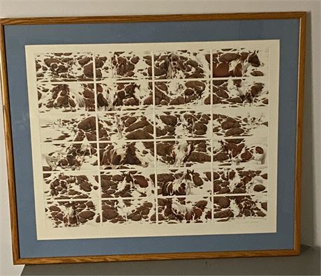 Bev Doolittle “Hide and Seek” Framed Art Limited Edition Print - Artist Signed