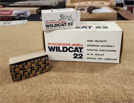 Winchester .22LR Ammo...500rds