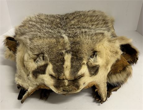 Badger fur pelt