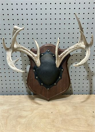 Whitetail Deer Antlers Wood Plaque Wall Mount