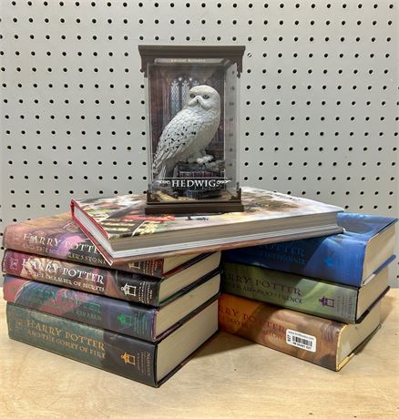 Harry Potter Books 1-7 Plus Illustrated Sorcerer’s Stone and Various Figurines