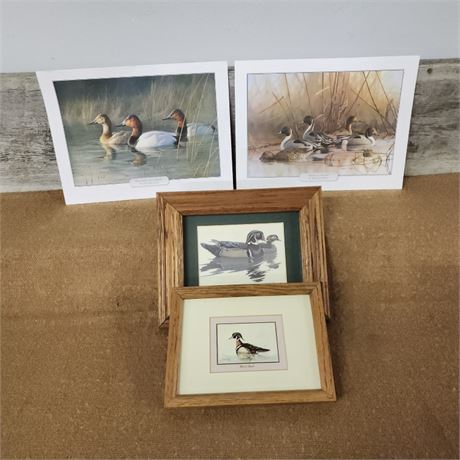 Water Fowl Prints - Assorted