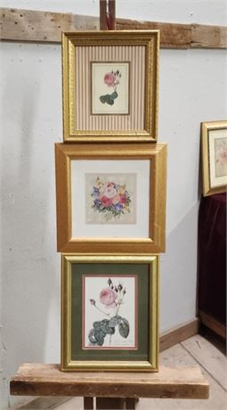 🌹Framed Rose Print Trio