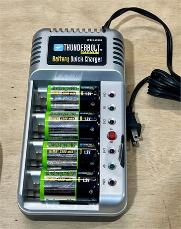 Thunderbolt Magnum Class 2 Energy Quick Charger