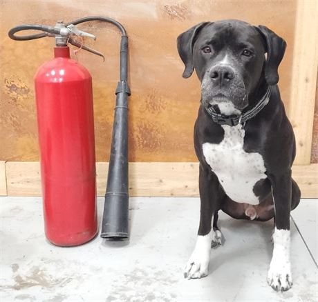 Antique Fire Extinguisher