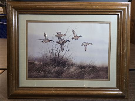 Flock of Blue Winged Teal 15x19